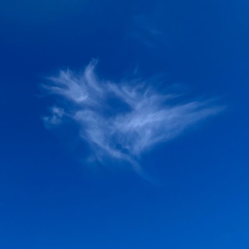 Meet your Posher, Karinia